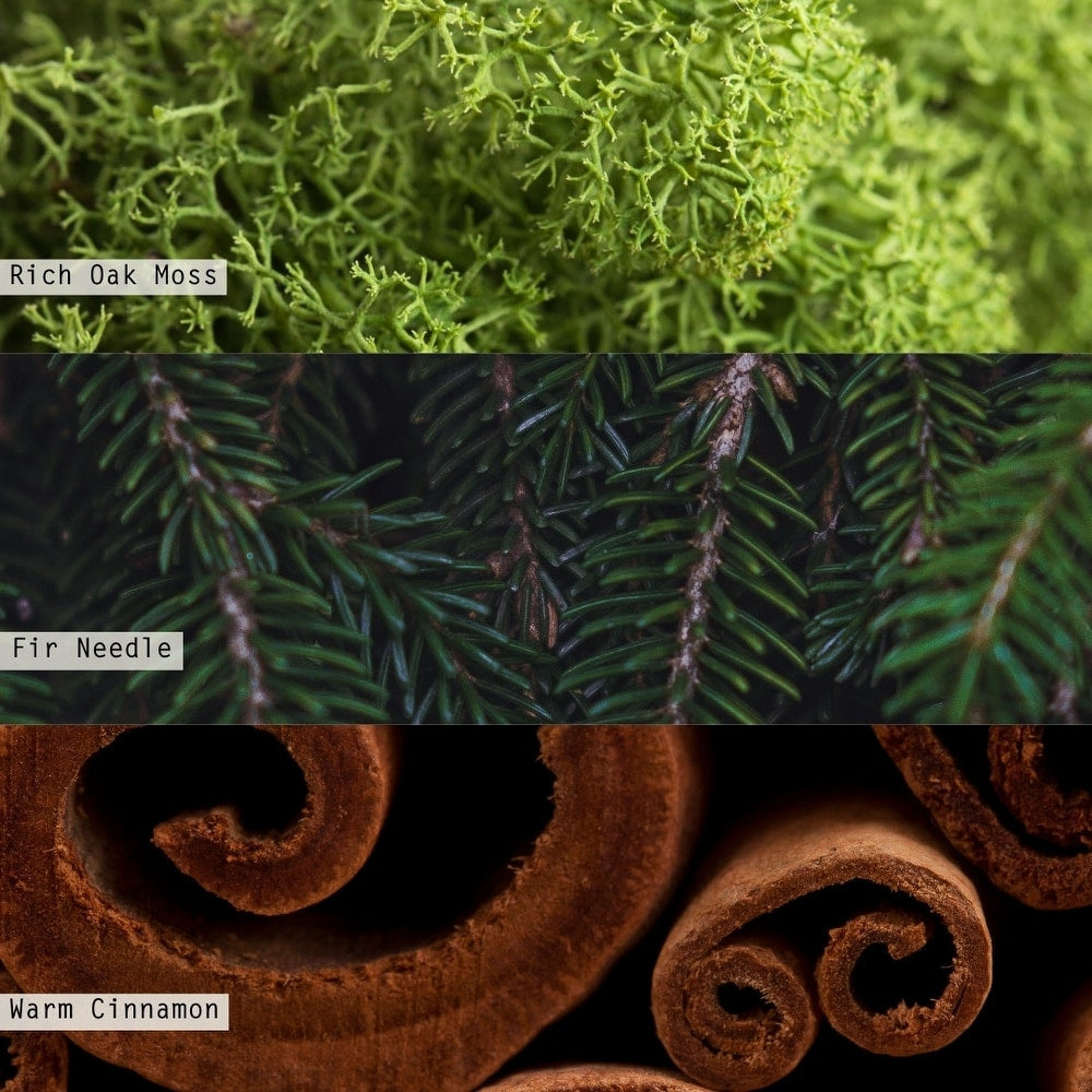 Candle Trio Gift Set - Balsam Cedar