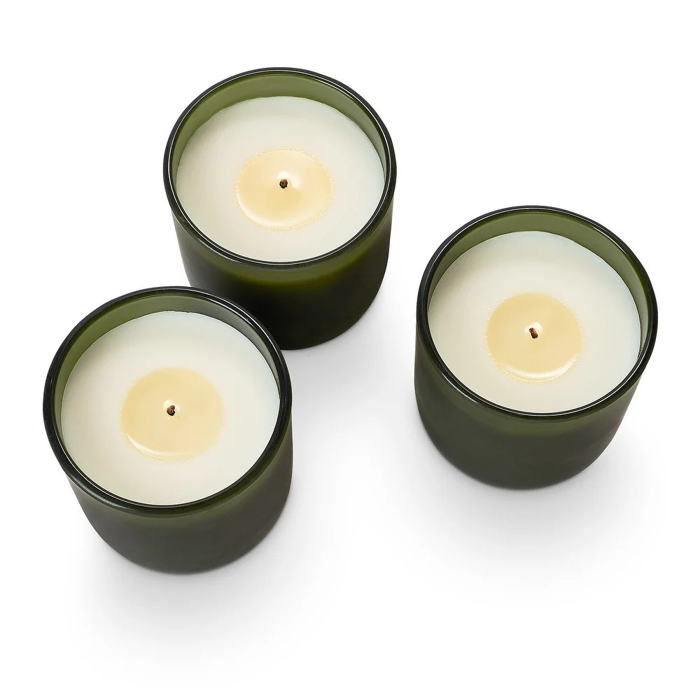 Candle Trio Gift Set  - Balsam Cedar